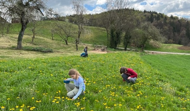 Otroci na travniku iščejo pirhe.