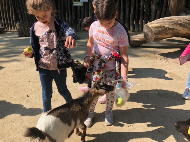 Otroci na obisku živaljskega vrta.