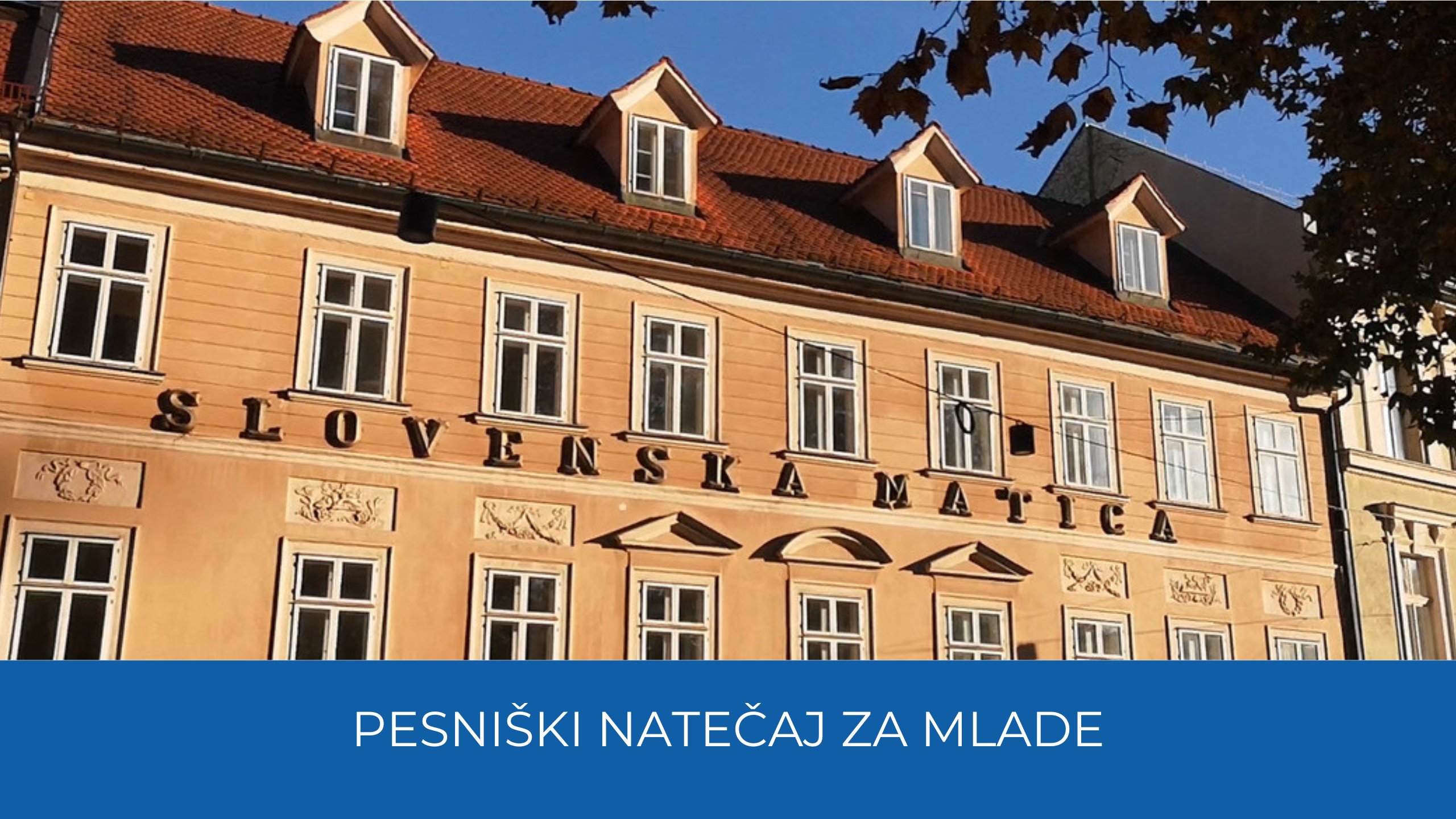 Stavba Slovenske matice