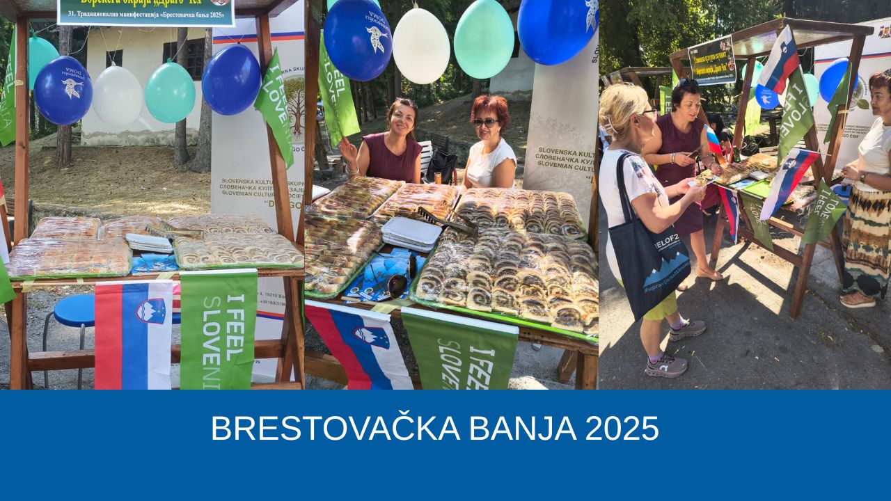 Stojnica 2025